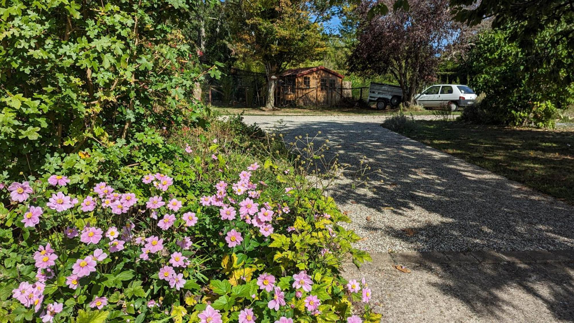 Bed and Breakfast Au Bonheur de Cisse Chouzy-sur-Cisse Exterior foto